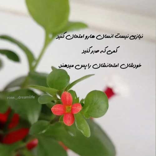 اهنگ رفیق من چرا شدی از من جدا مرتضی جعفرزاده