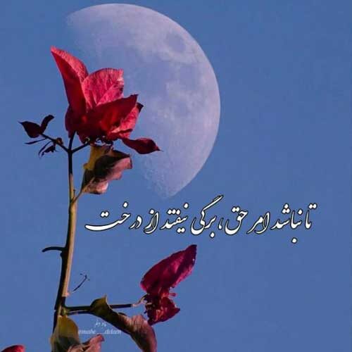 اهنگ تو کوچه ها نمیشه بی تو پرسه زد پویا بیاتی