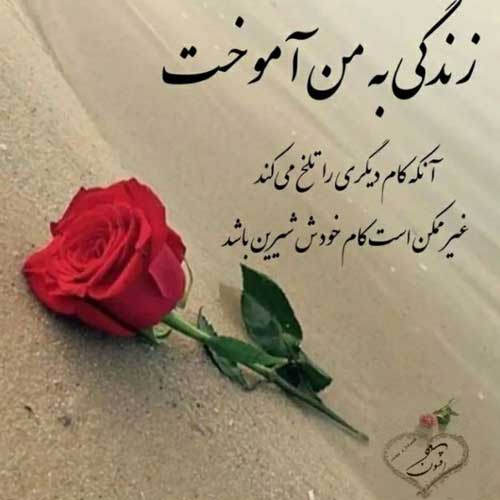اهنگ حرفایی که زدم همش از رو علاقه بود مجید رضوی