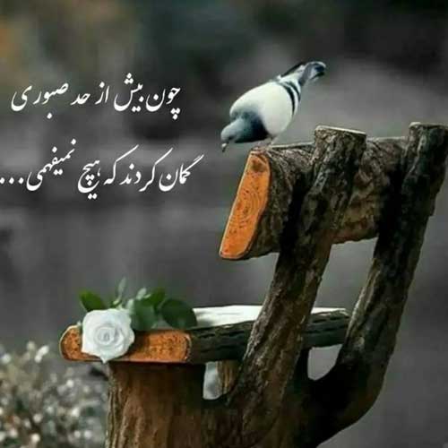 اهنگ کاش بشه وقتی داری ور میری با گوشیت دستت بره رو اسمم علی یاسینی