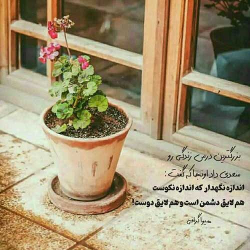 اهنگ چه دلی چه عشقی از این حرفا خستم پویا بیاتی