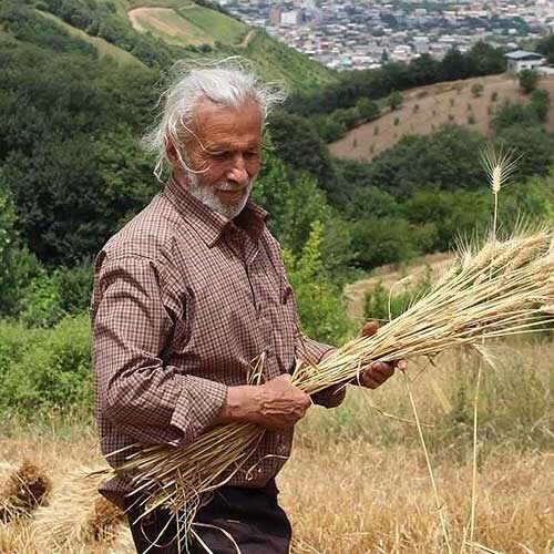 آهنگ های محمدرضا اسحاقی