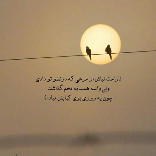 آهنگ هومن پناهی کی گفت