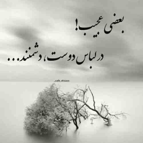 آهنگ سگ سگ چشاش