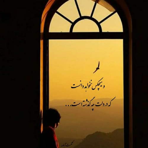 آهنگ ندونسته دلمو به غریبه سپردم با صدای زن اینستاگرام