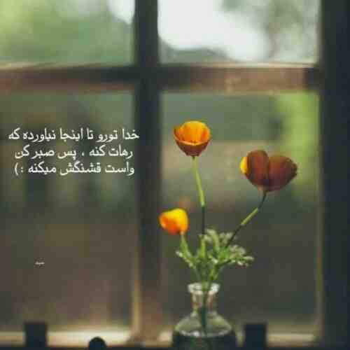مانو چائو تو را دوست دارم