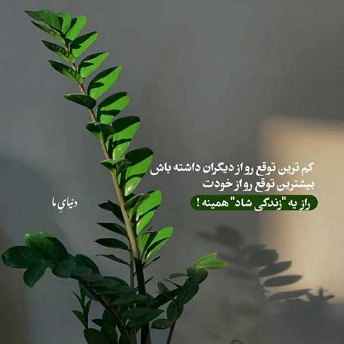 حساسم به تموم کارات حالا بابک مافی