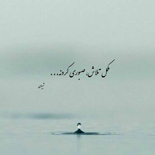 روز ابری سعید پورسعید