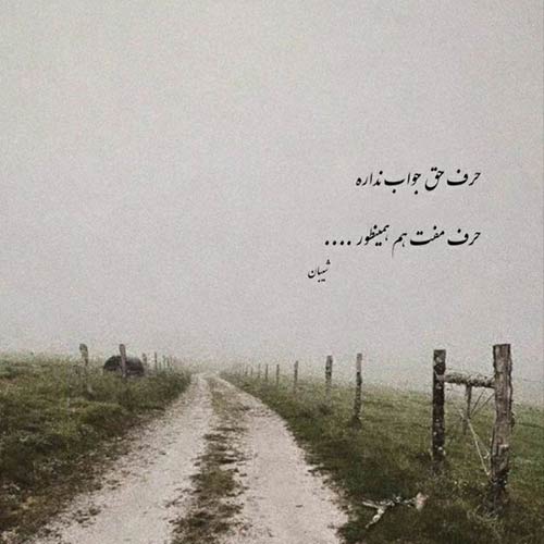 شبا این دیوونه با عشق تو محسن ابراهیم زاده