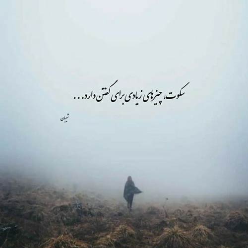 شبونه بی هوا دلتنگ میشم رضا مریدی