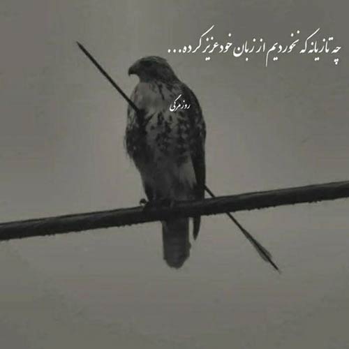 دلتنگ حرمتم به کی بگم استودیویی