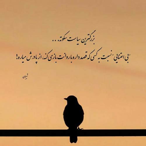 دلتنگ حرمتم به کی بگم سجاد محمدی