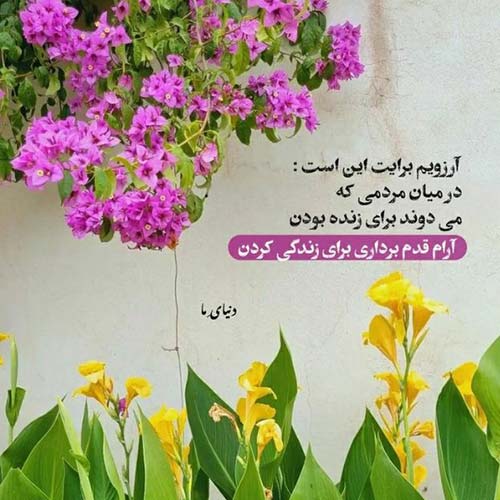 اورد برام خبر یه قاصدک مهراد هیدن