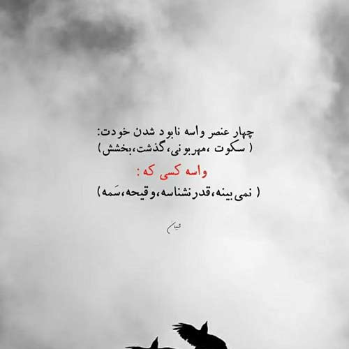 روز ابری سعید پورسعید