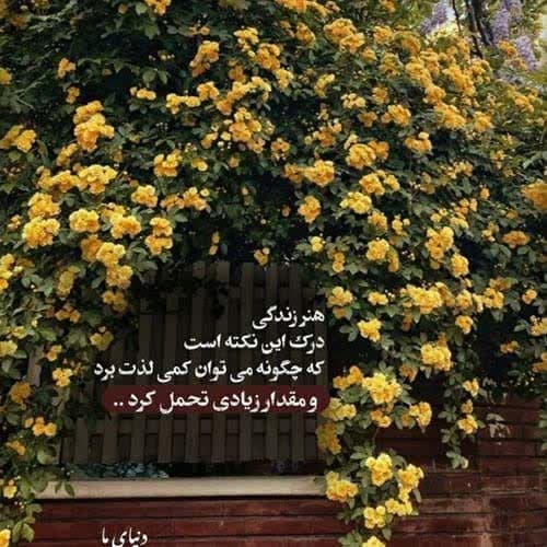 نمیدانم چه کنم با این حال بیقرار