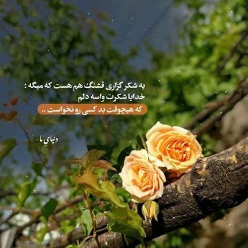 سلام کربلا سلام اربعین سلام بهترین جاده روی زمین