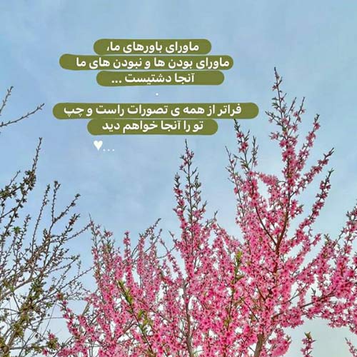 مادر غمخوار مهدی رسولی