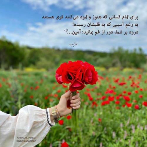تو بگو عشق من میگم رقیه