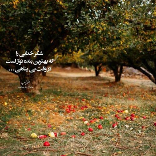 هر شب باید مجنونت شم حسین طاهری