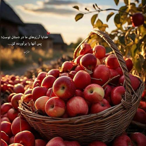 ببعی میگه بع بع دنبه داری نه نه