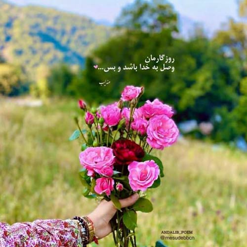 حسنی میای بریم حموم نه نمیام