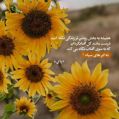 عشق نه درمونه نه بیماریه سهیل مهرزادگان