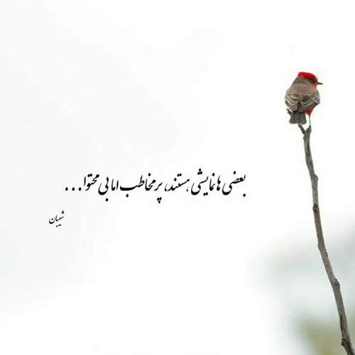 حالا برگشتی بعد سه سال خواننده اصلی