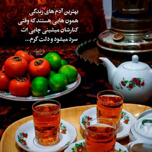 ای یار من ای دلبر جانی زیبای کل مازندرانی