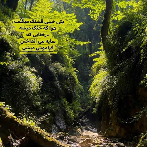 بی رحم نبودی من خوابتو دیدم