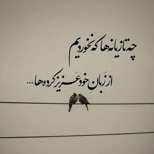 اهنگ میزنه سرم زیپ ژاب کنم علی احمدیانی