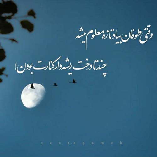 اهنگ در سکوت شب خانه زد فریاد با صدای زن