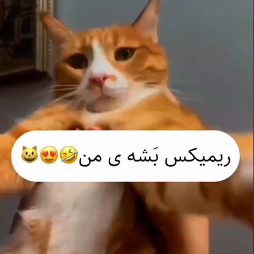 بشه ی منه فداش بشم منه
