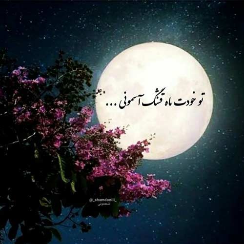 اهنگ شبا مشروب افتر اکس