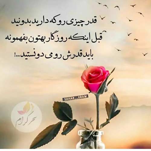 آهنگ کردی شوتی فرهاد جهانگیری