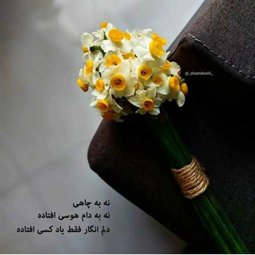 اهنگ قلبم آرومه کم نذاشتم که عربی