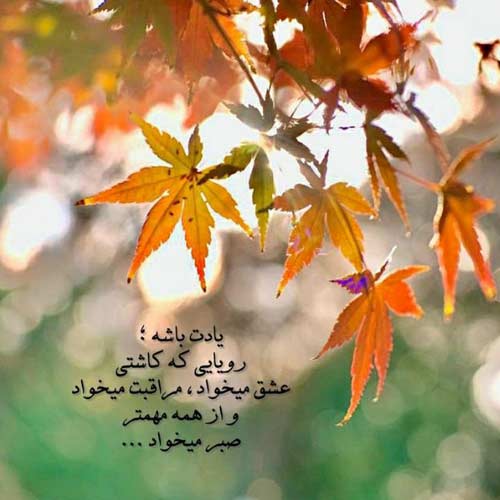 آهنگ اگه روزگار بذاره امیر شاملو