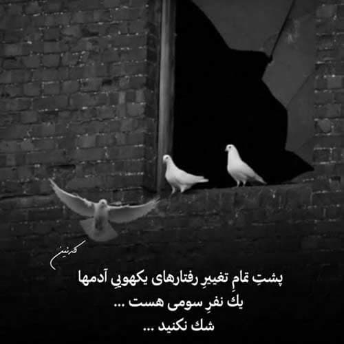 حسین فروهر غرور زخمی