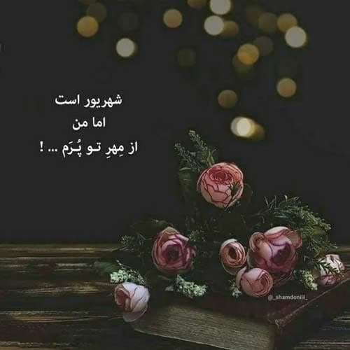حسین فروهر ساقی