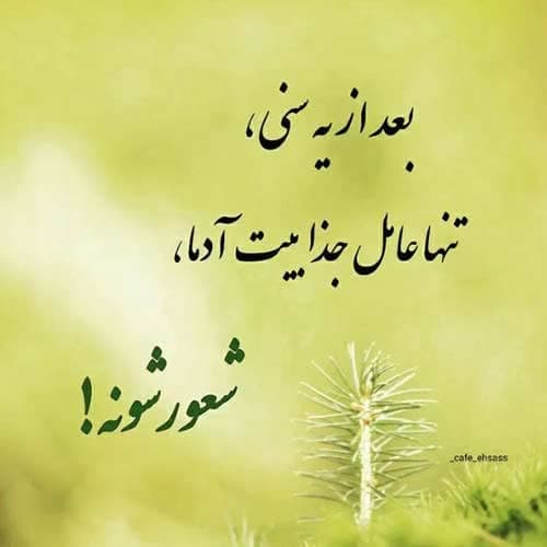 سپهر خلسه نخلا