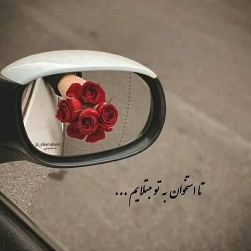 حسین رضایی کبوتران یاغی