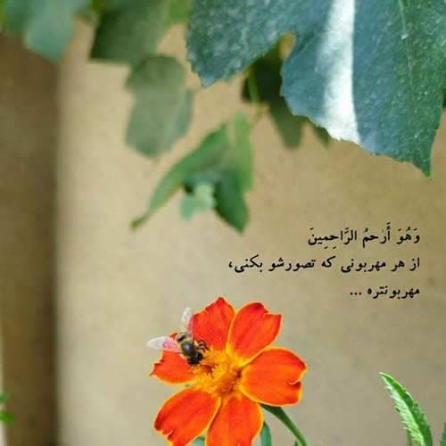 بیدل برزویی گلشاد