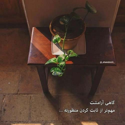 نیما گلنژاد فکر