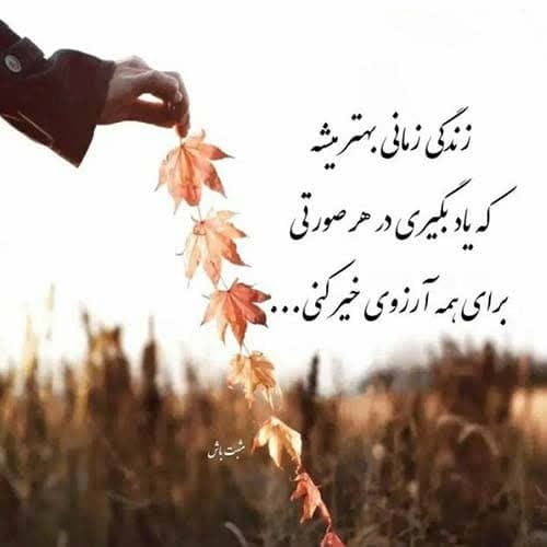 ارزمون شکارچیان بنی چه نِنِه