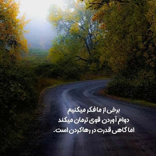 ارزمون شکارچیان بانو غریبم