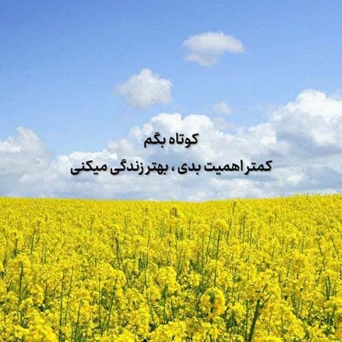 ارزمون شکارچیان دونه دونه