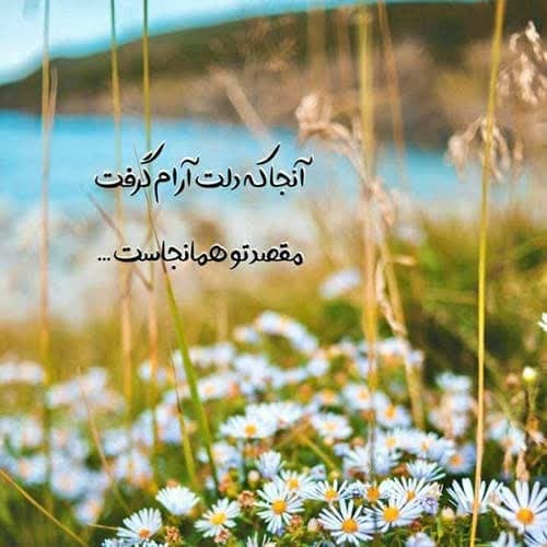 ارزمون شکارچیان کته کته شلوار