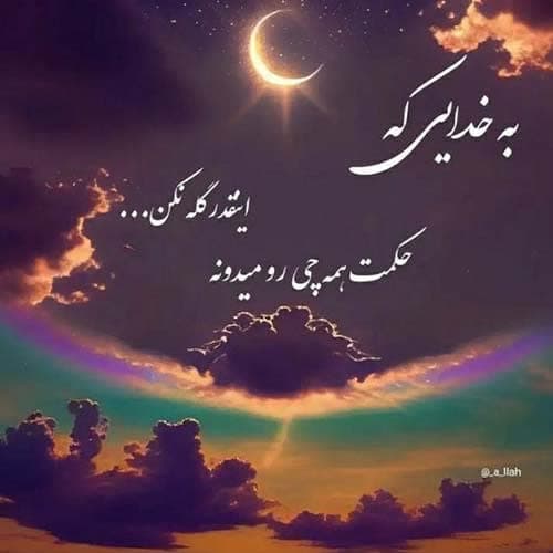 ارزمون شکارچیان کیجا نکایی