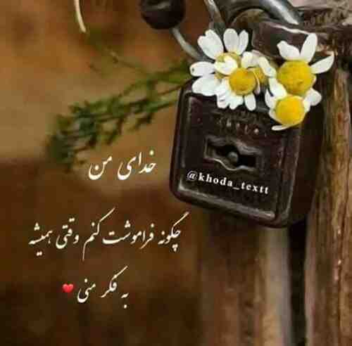 ارزمون شکارچیان نیره جان