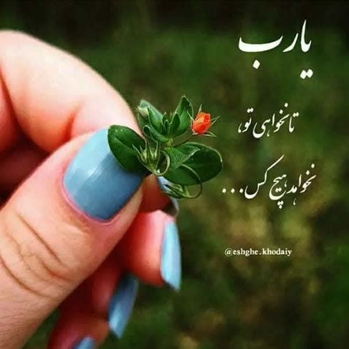 اشکان پناهی تو یار دل نوازی