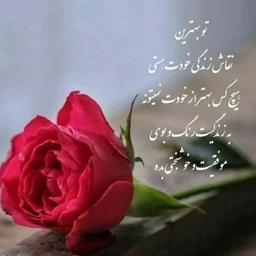 اشکان پناهی بیو نور تیلم بو